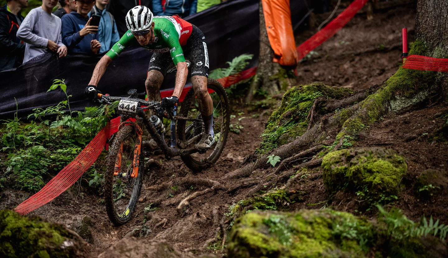 Wilier