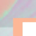 NEUE - Q7 Coral Bloom