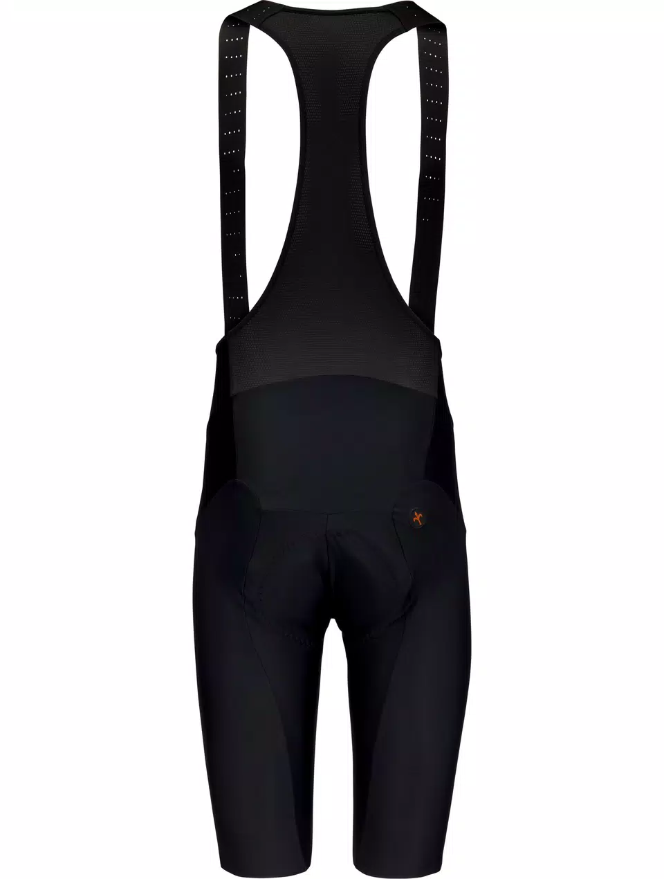 Rainproof thermal bibshorts, Wilier Triestina