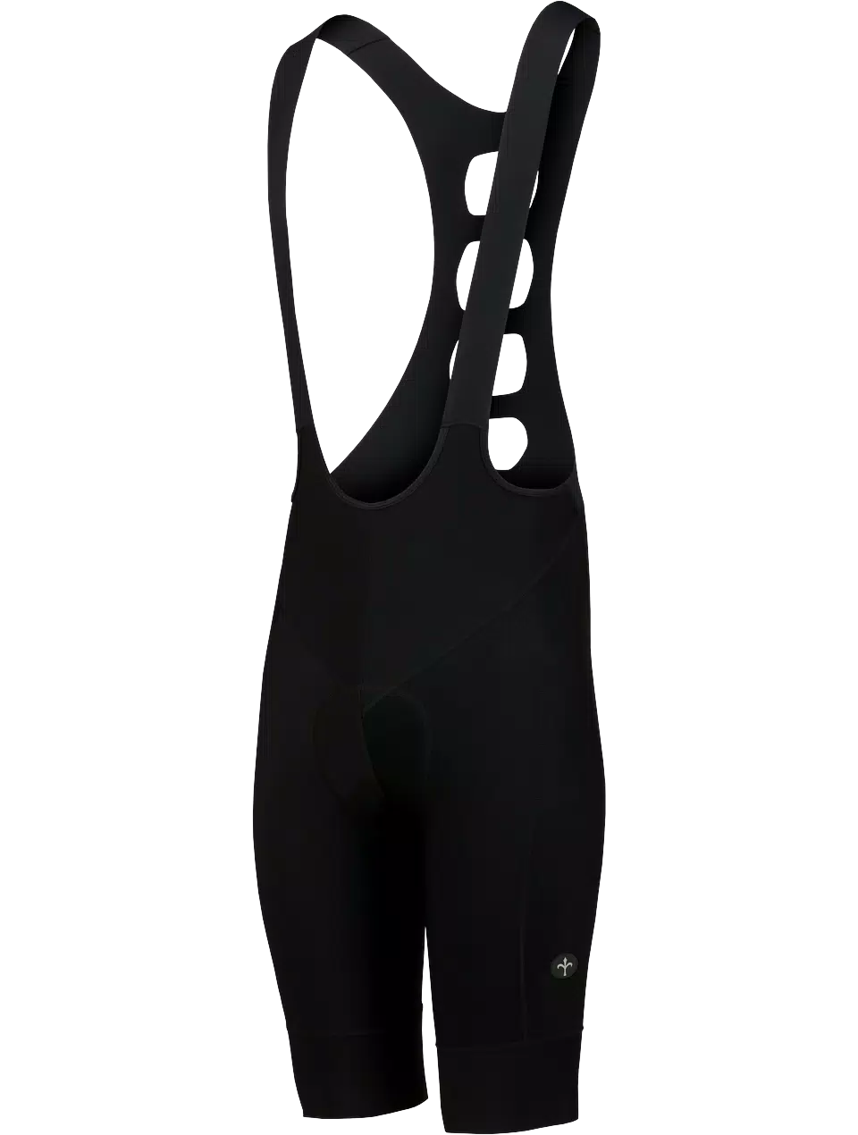 Fleece-lined Thermal Bib Shorts - Black