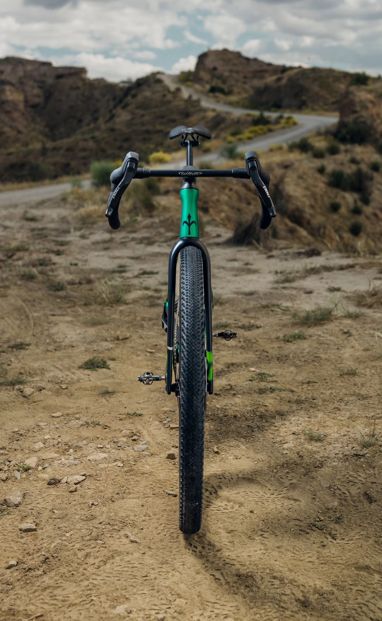 Wilier Garda Shimano 105 Di2 2x12 R7170 Miche SWR Evo 40 Carbon 12