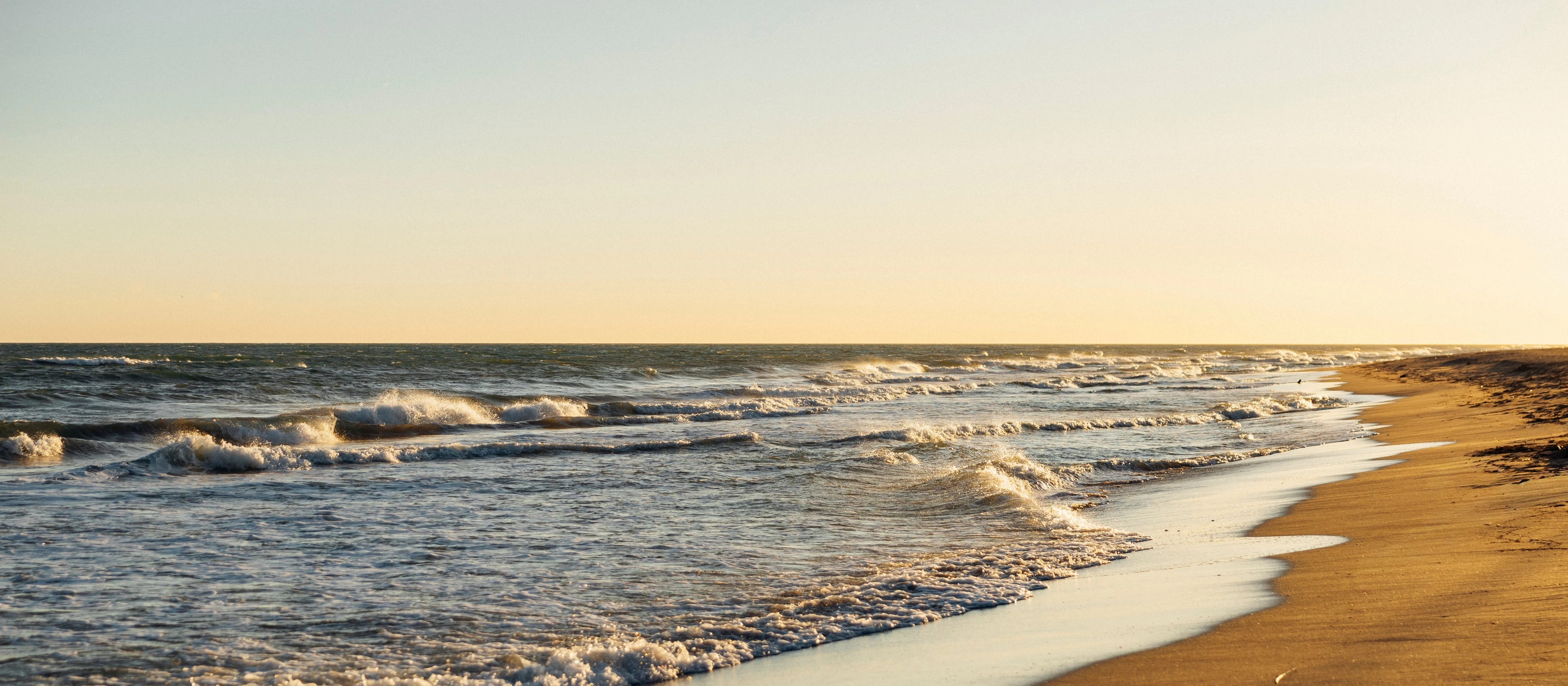 wilierturbinesl-2369