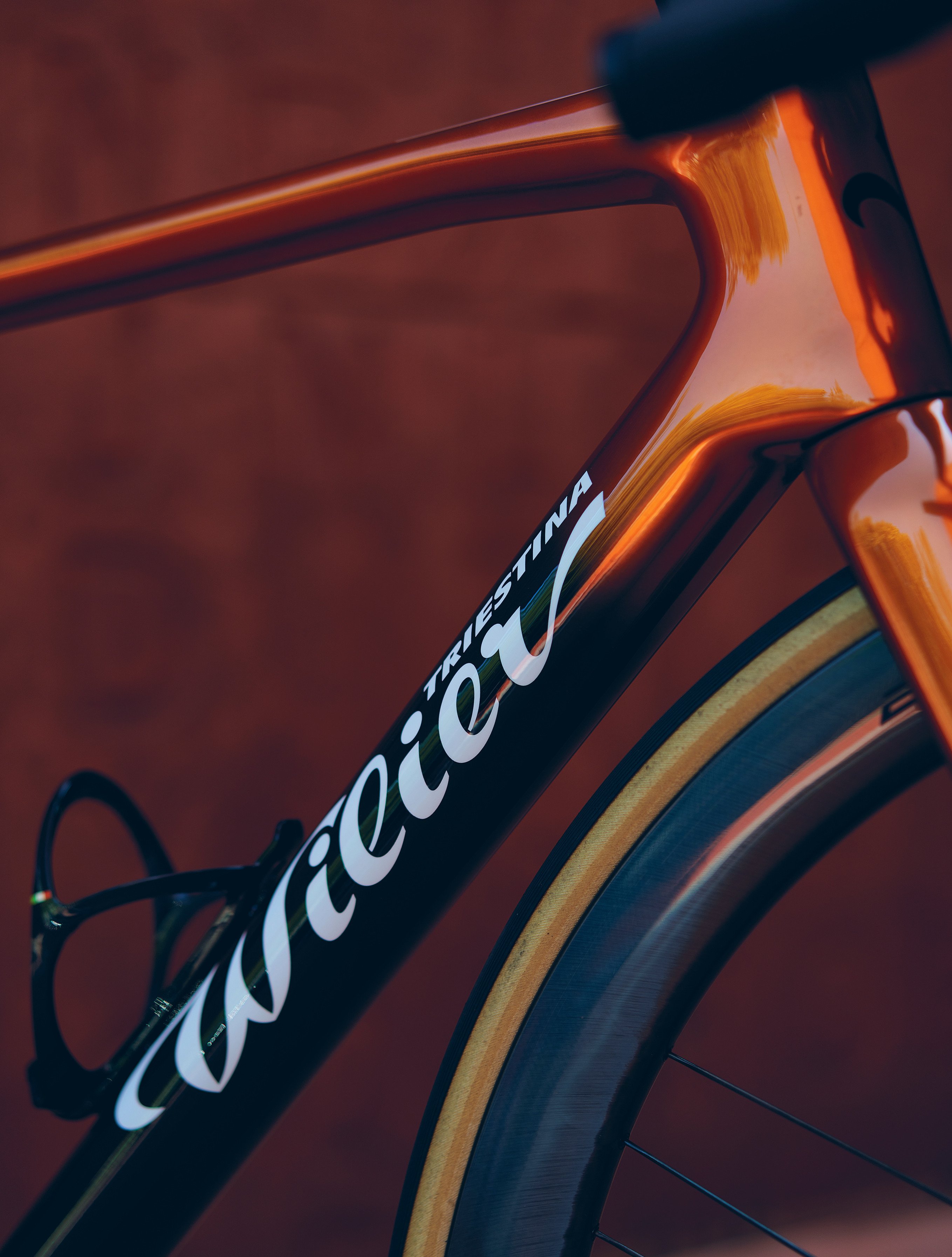 Ramato Bikes Wilier Triestina