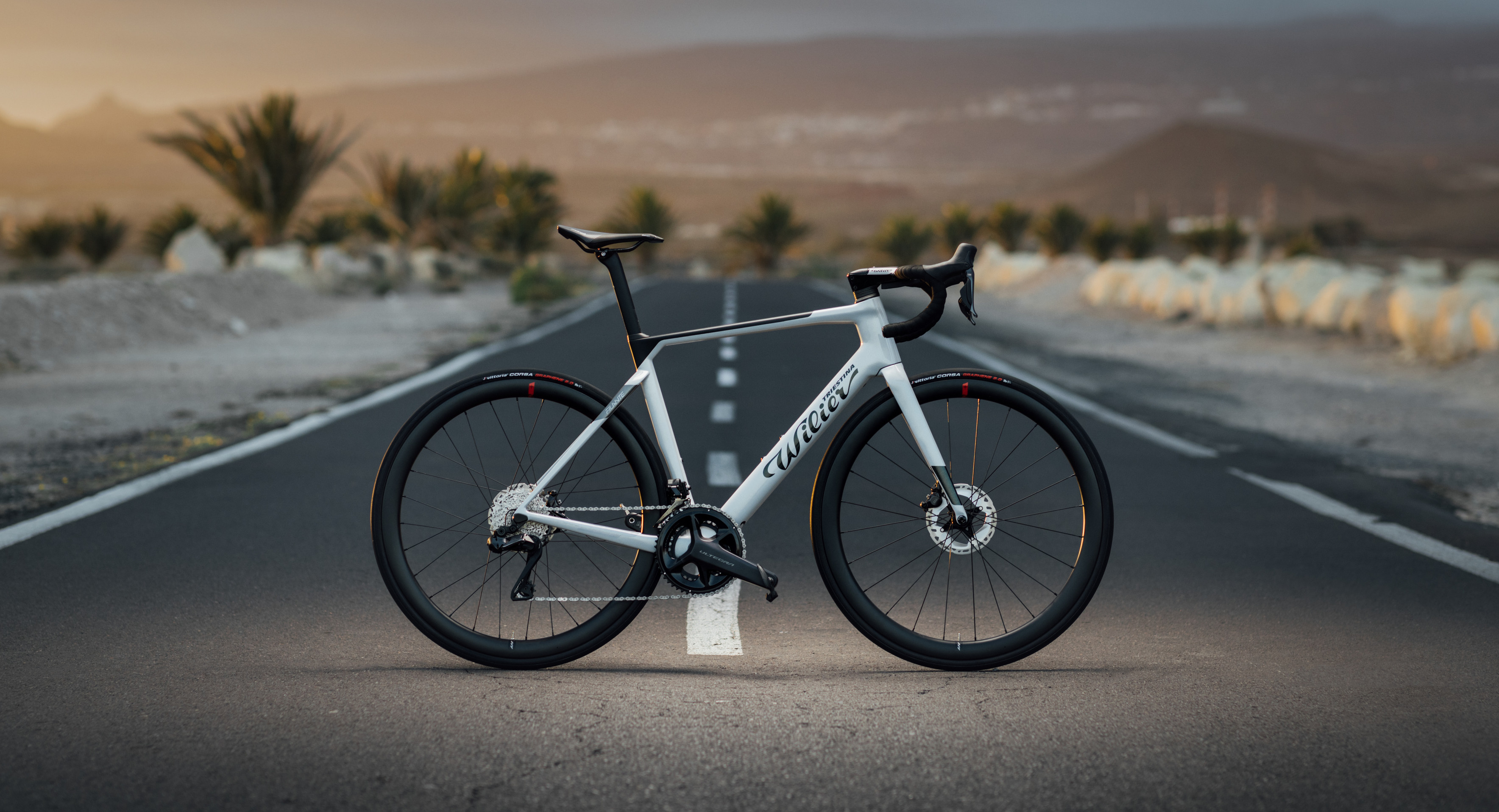 wilier cento 10 hybrid