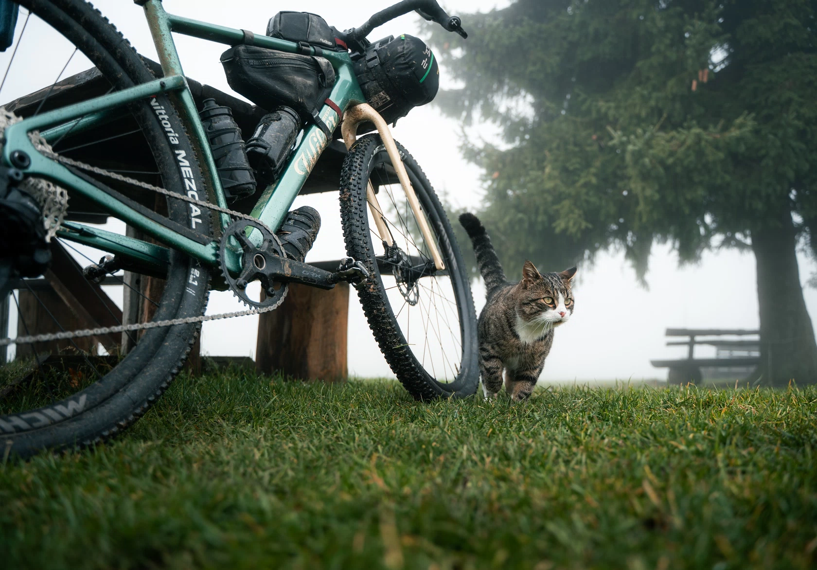 -alexfaedda-31102025-wiliertriestina-adlar25-1099