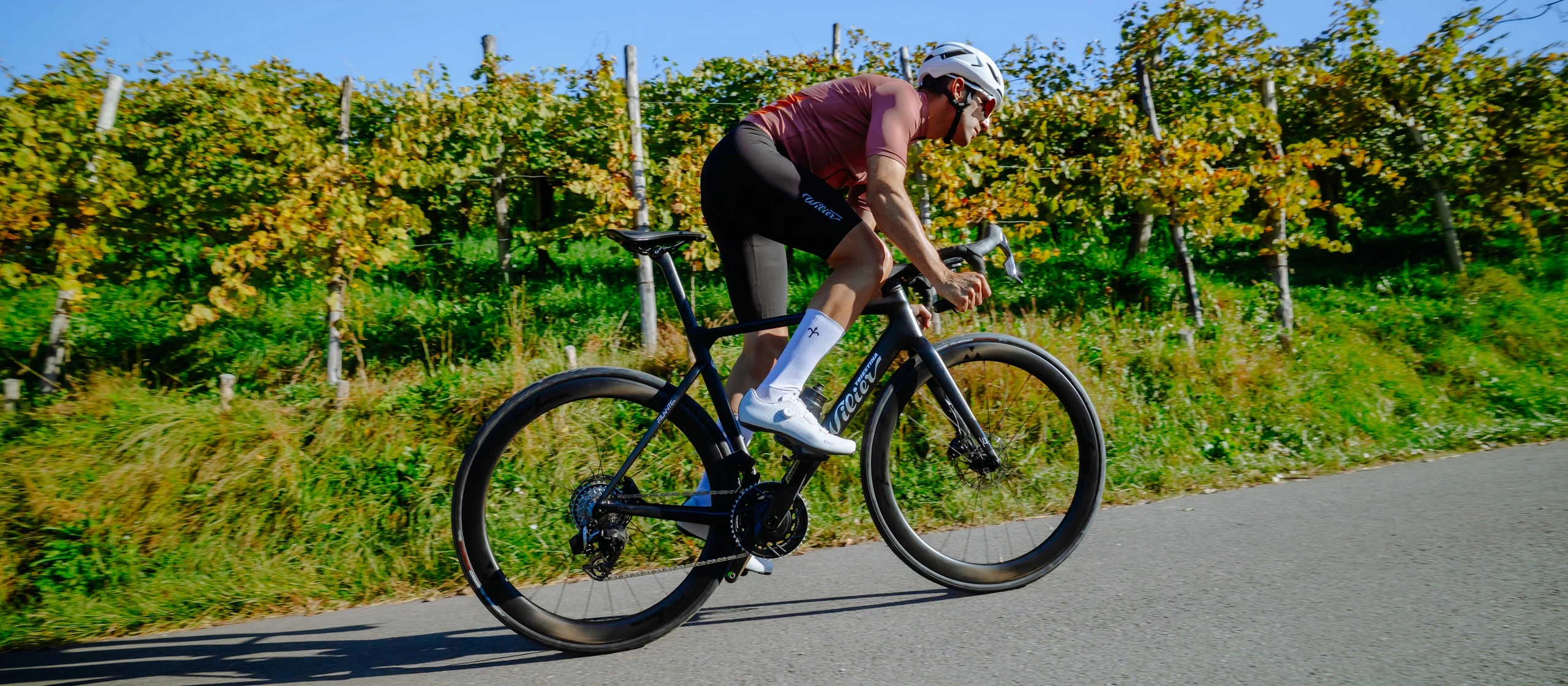 sony-a74_17-10-2025_mab09150