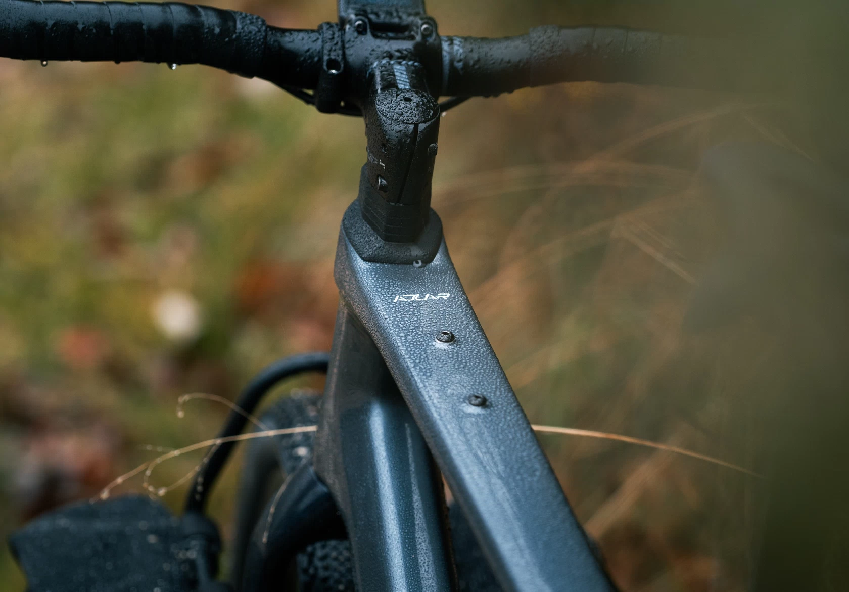 -alexfaedda-31102025-wiliertriestina-adlar25-16-2