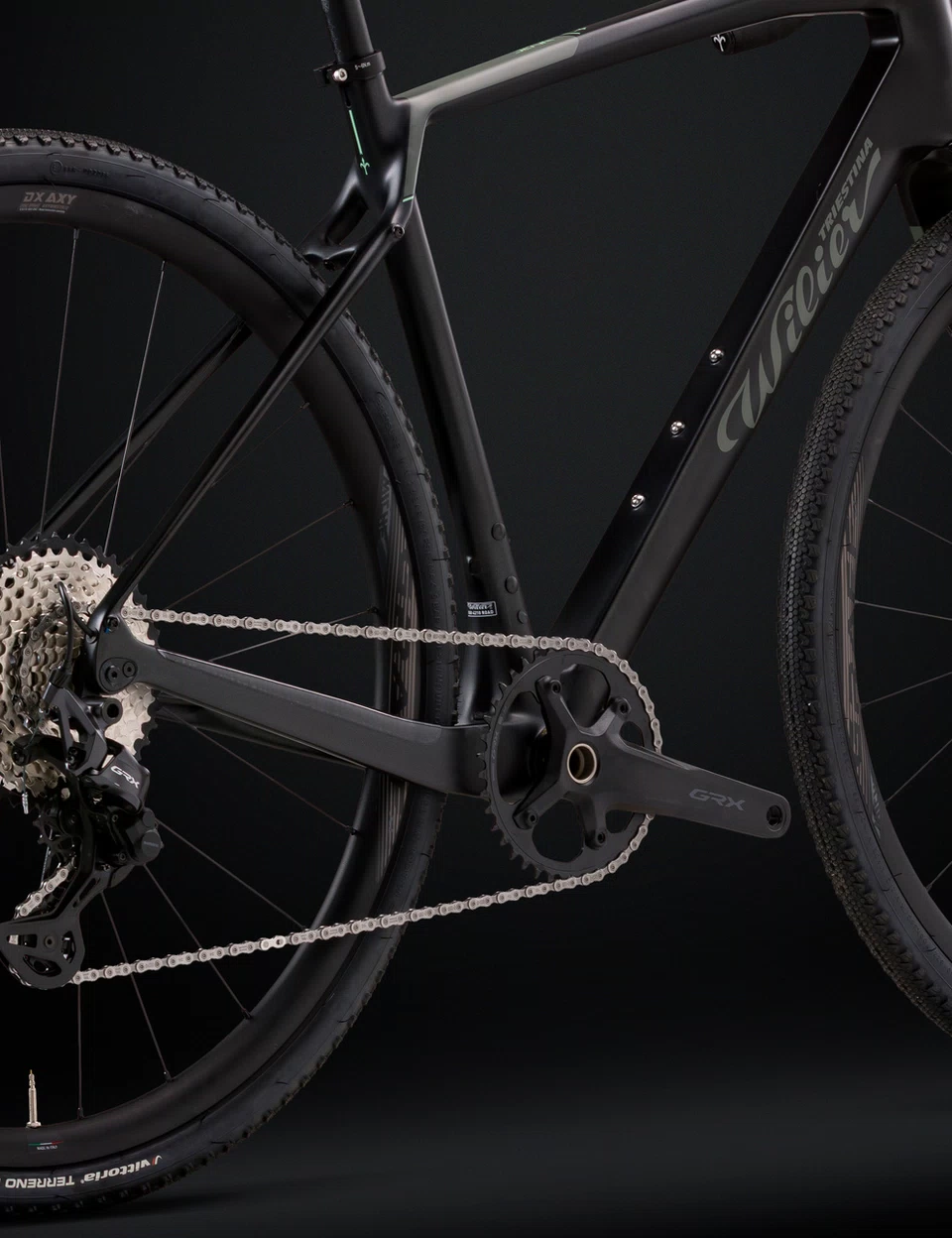 Removable derailleur support