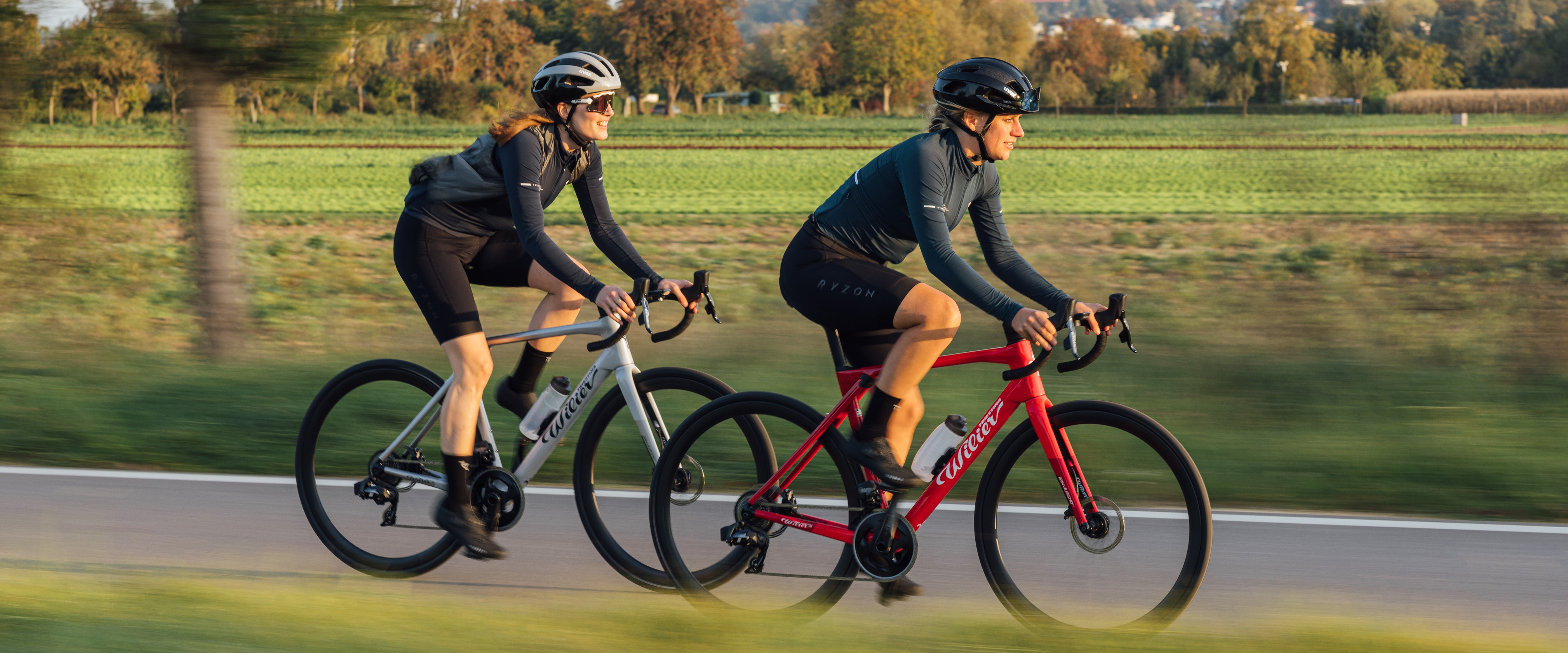 Bicicletas de carretera - Endurance, Ocio y Racing