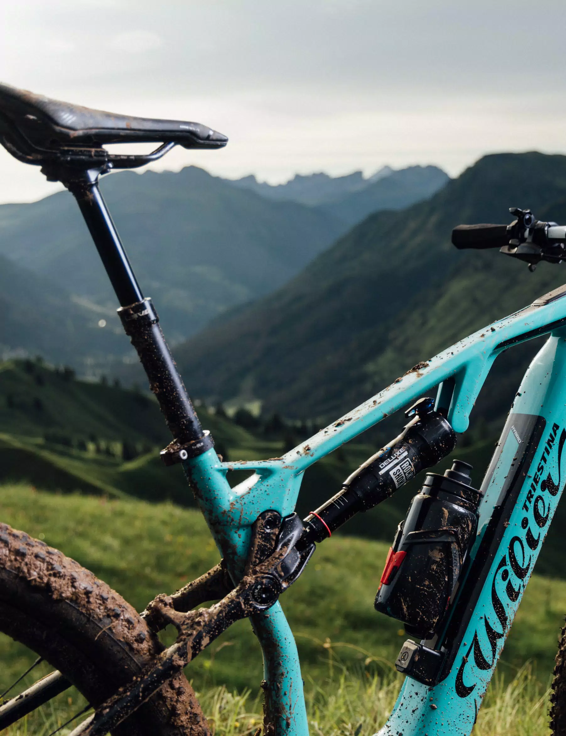 Urta Hybrid Down Country MTB E Bike Wilier Triestina