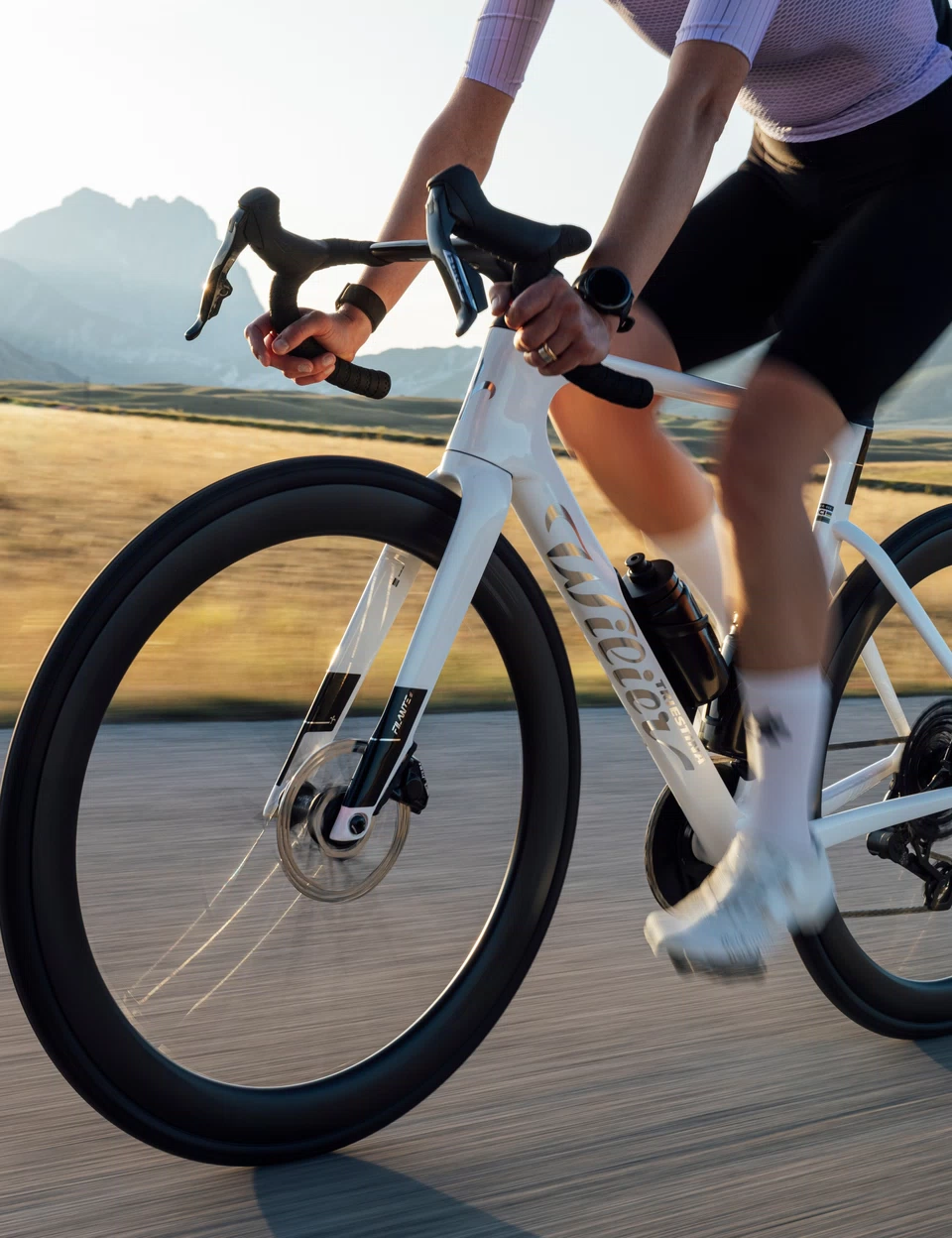 Wilier