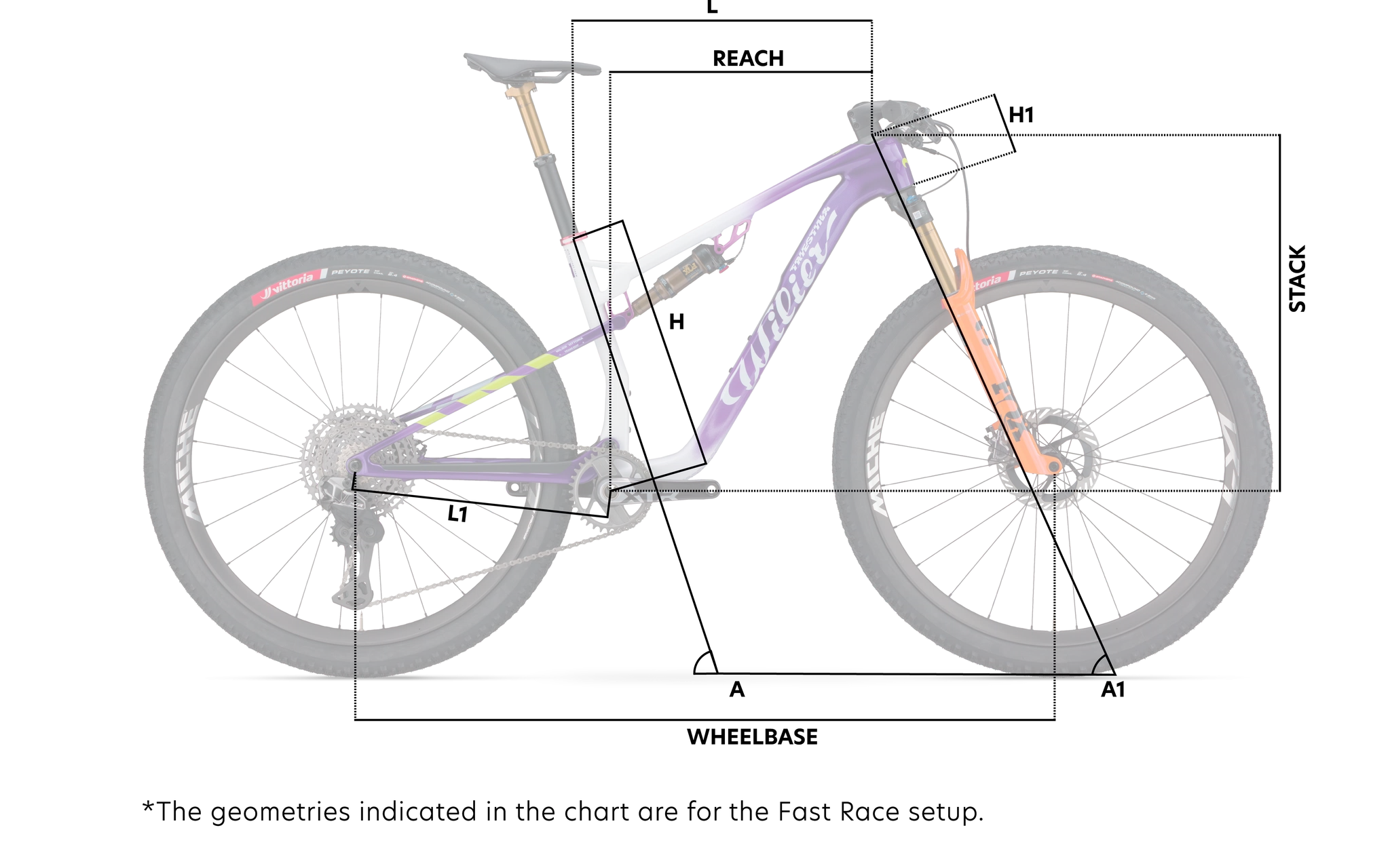 Geometrien| Wilier