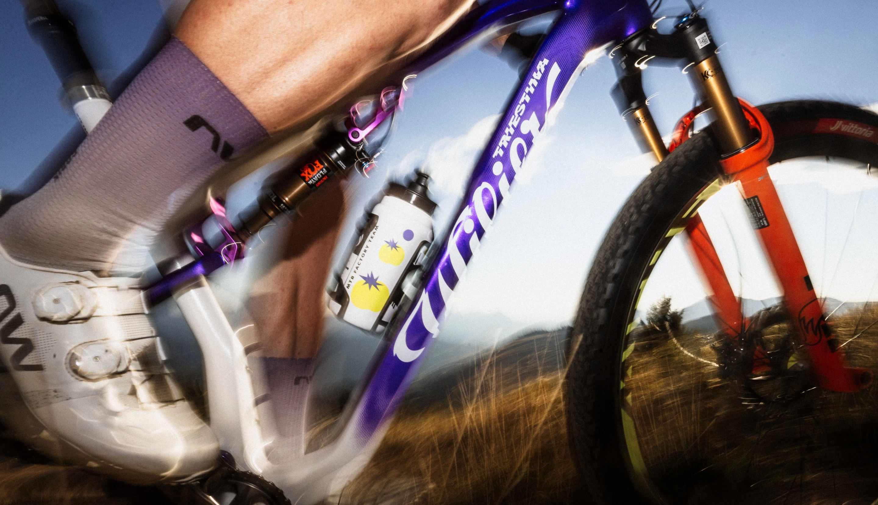 Wilier